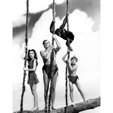 from one of the original Tarzan movies with Johnny Weissmuller as Tarzan, Maureen O'Sullivan as Jane, and Johnny Sheffield as "boy." I don't know the name of the ape.